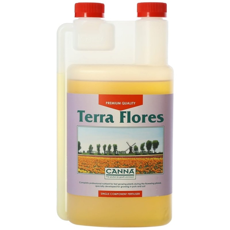 CANNA TERA FLORES