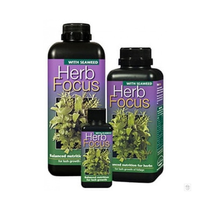 Herb Focus