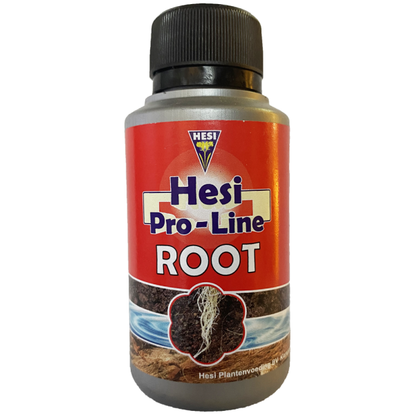 Hesi_Root_100