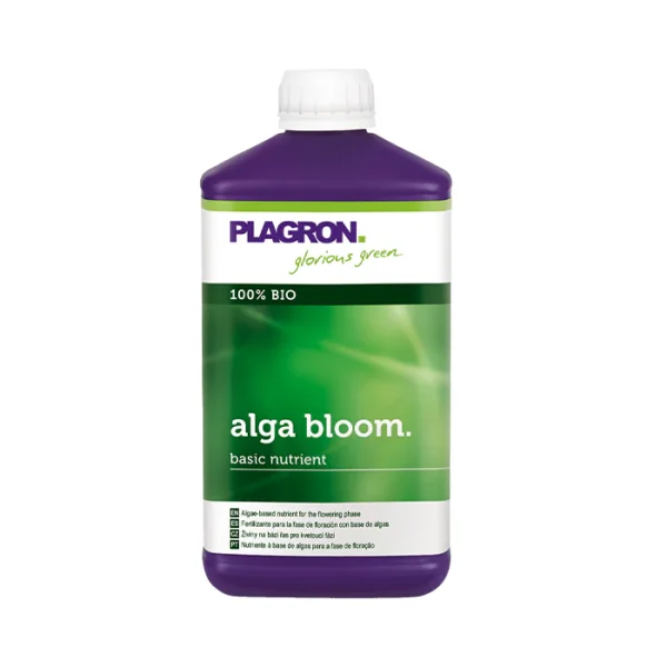 alga-bloom_