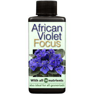 products-african-violet-focus-100ml