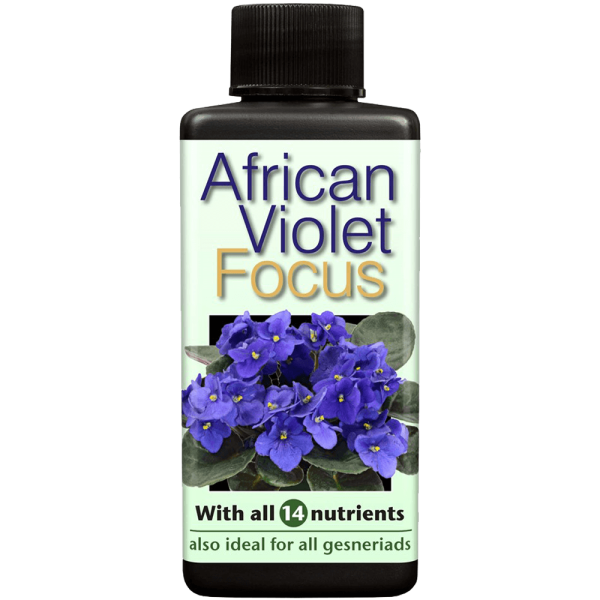 products-african-violet-focus-100ml