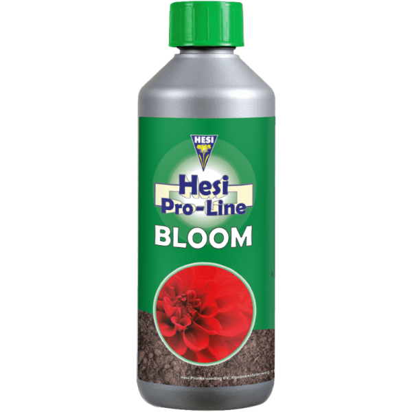 bloom_500ml