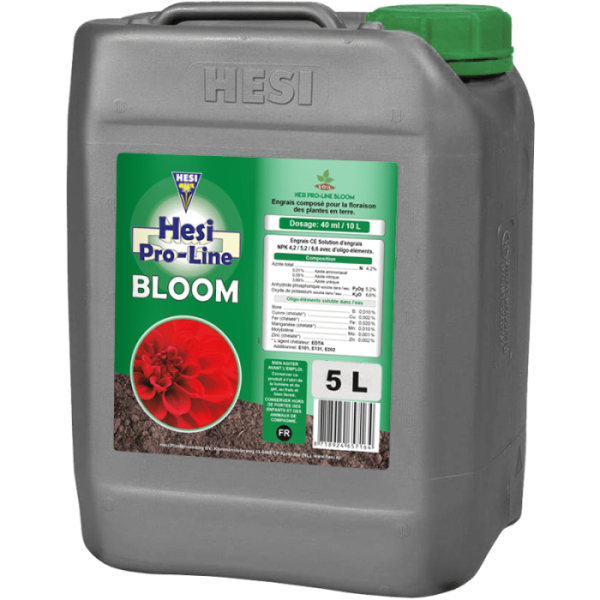 hesi bloom