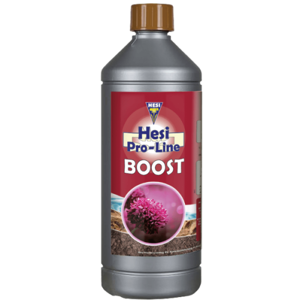 hesi boost