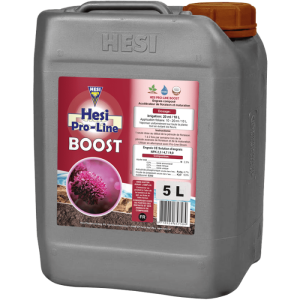 hesi boost