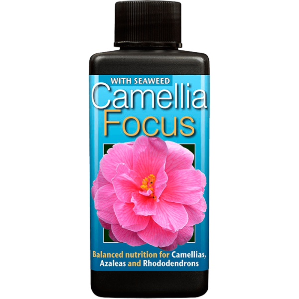 products-camelia-focus-100ml-main