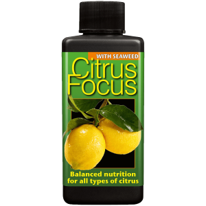 products-citrus_focus_100_1