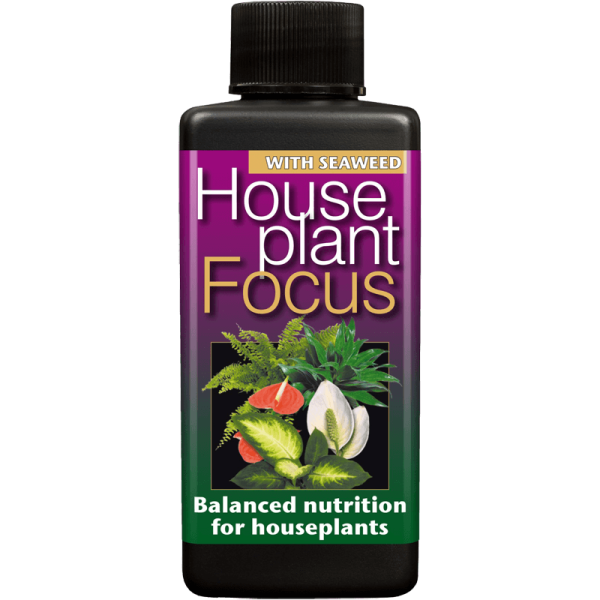 products-houseplant-focus-100ml-main