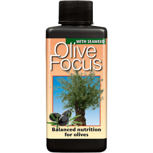 products-olive-focus-100ml-main