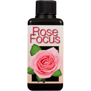 products-rose-focus-100ml-main