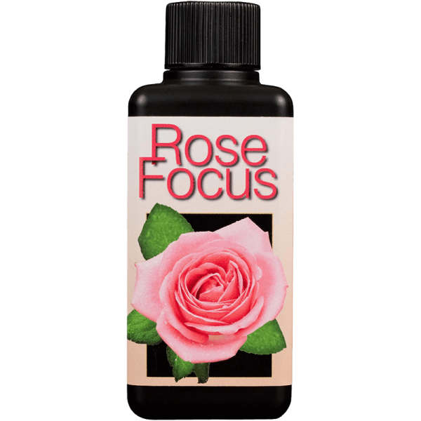 products-rose-focus-100ml-main